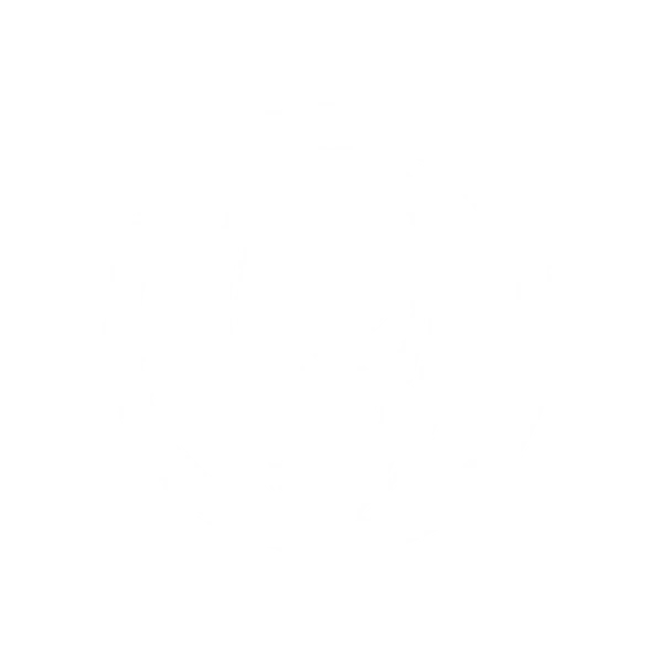 Magneto logo